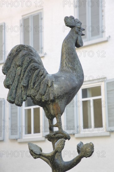 Göckelesbrunnen by Karl Ulrich Nuss 2013 with rooster figure, rooster, modern art, bronze sculpture, Gockelbrunnen, Reutlingen, Swabian Jura, Baden-Württemberg, Germany