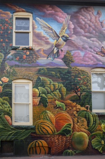 Arvada, Colorado - A mural on a house in Olde Town Arvada