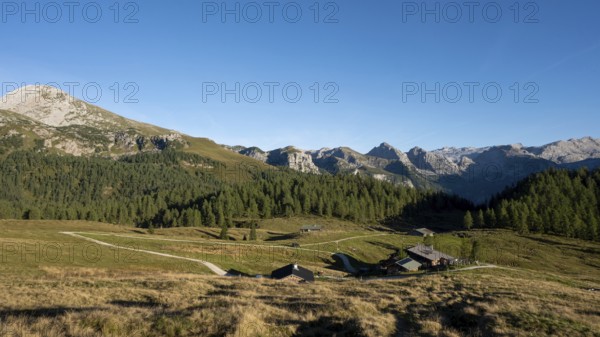 View across the Gotzenalm alpine pasture to the Kahlersberg, Teufelshörner, Hochkönig and Steinernes Meer mountains, Berchtesgaden National Park, Bavaria, Germany
