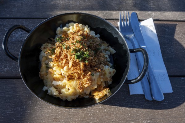 Typical food on an alpine pasture, a portion of cheese patzen or cheese socks in a cast pan, Bavaria, Germany