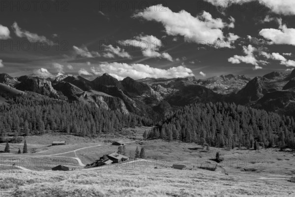 View across the Gotzenalm alpine pasture to the Teufelshörner, Hochkönig and Steinernes Meer mountains, Berchtesgaden National Park, Bavaria, Germany