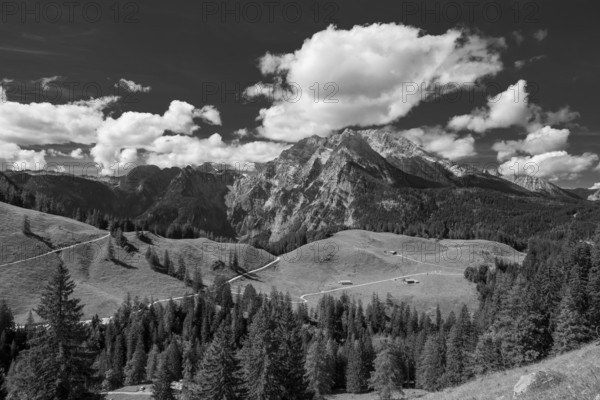 View across the Büchsenalm to Watzmann in Berchtesgaden National Park, Bavaria, Germany