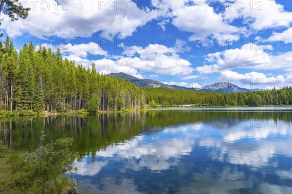 Calm water reflects the blue sky and white clouds over herbert lake with coniferous trees and mountains in the distance in banff national park, canadian rockies, alberta, canada