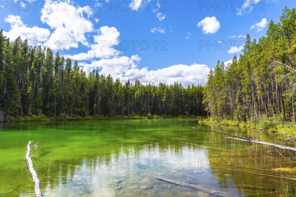 Emerald green waters of herbert lake mirroring a cloudy blue sky and surrounding pine forest in banff national park, alberta, canada, creating a tranquil and scenic landscape