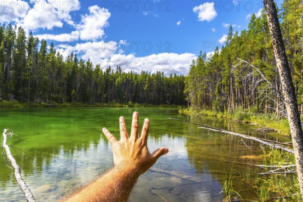 Hand reaching out to the turquoise water of herbert lake, surrounded by a lush forest, under a bright blue sky with some clouds, in banff national park, canadian rockies, alberta, canada