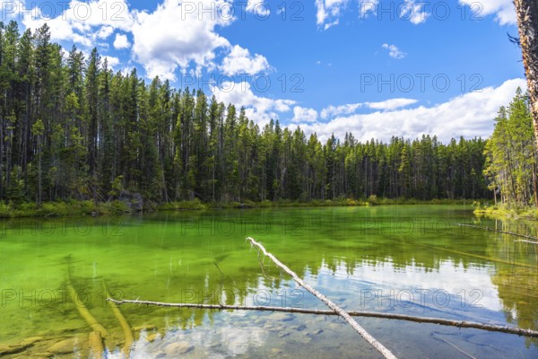 Emerald green waters of herbert lake reflecting the surrounding forest under a cloudy sky in banff national park, canadian rockies, alberta, canada, creating a serene and picturesque landscape
