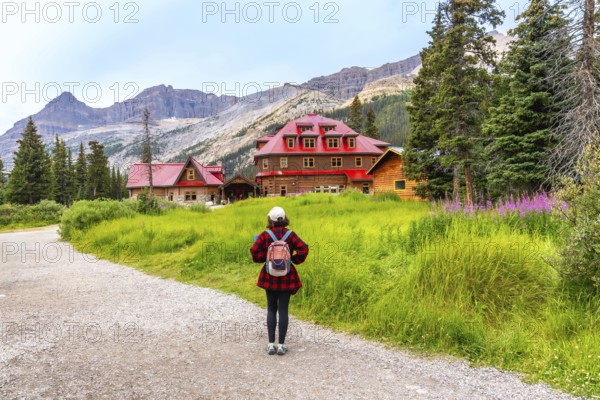 Female tourist walking along a gravel path toward the historic num ti jah lodge at bow lake, surrounded by wildflowers and majestic mountains on a sunny summer day
