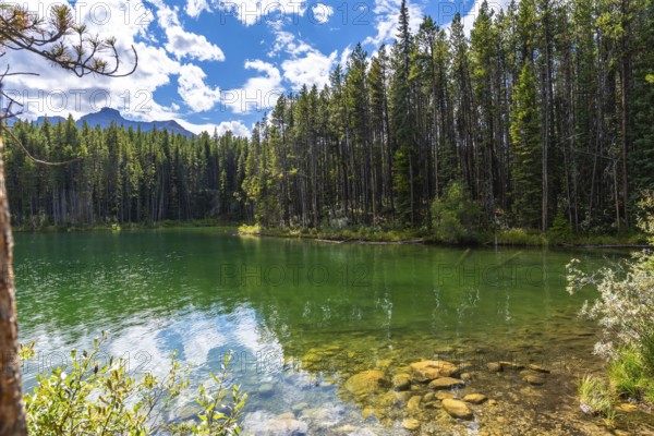 Emerald green waters of herbert lake reflecting the sky and surrounding forest on a beautiful summer day in banff national park, canadian rockies, alberta, canada