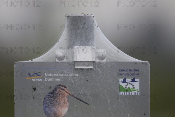 A sign of the Dümmer nature park Reserve with a spider web and a picture of a snipe in foggy surroundings, Dümmer Nature Park, Lower Saxony, Germany