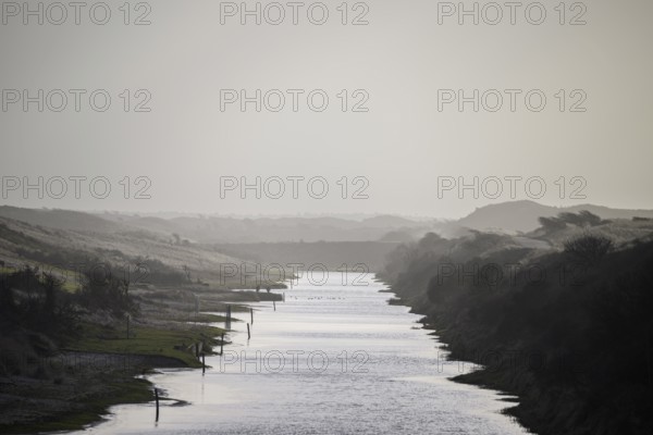 A calm branch of water in a foggy monochrome dune landscape at dusk, Amsterdamse Waterleidingduinen, Zandvoort, Noord-Holland, Netherlands