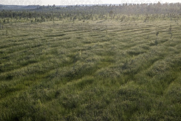 Extensive moorland taken from an elevated position, near Vianaavan Lintutorni, Ravaniemi, Saarenkylä, Lapland, Finland