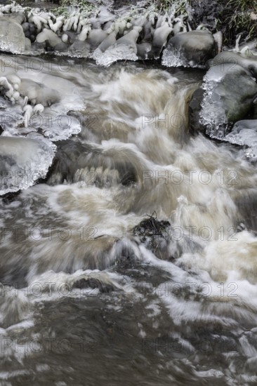 Natural ice sculptures on a stream, Emsland, Lower Saxony, Germany