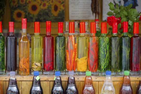 Strung bottles with colorful liquids on a wooden counter, chacha with colorful fruits, vegetables or spices, pomace brandy, grape distillate, Mtskheta, Mtskheta, Mtskheta, Mtskheta-Mtianeti region, Georgia