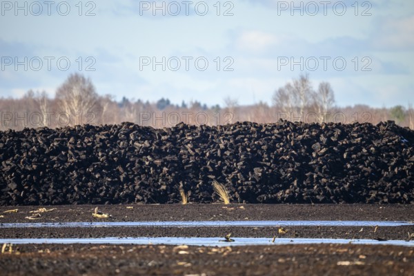 Layered peat sods Peating of a high-moor black peat in cloudy skies with earthy colors and natural texture, Diepholz Moor lowlands, Drebber, Lower Saxony, Germany