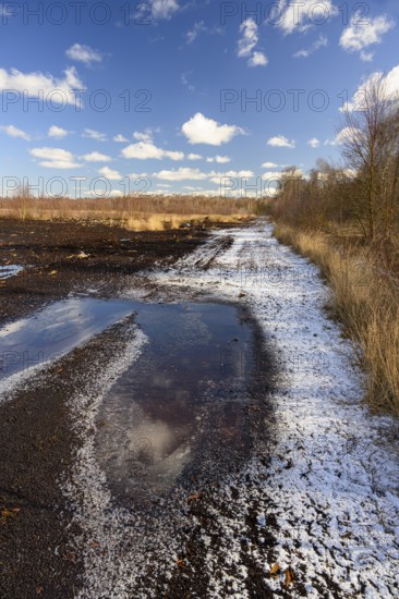 Mariendrebber, Drebber, NiedersacabgePeaty Hoochmoor Schwarztorf in cloudy skies with earthy colors and natural texture surrounded by birch forest, Diepholz moor lowlands, Drebber, Lower Saxony, Germany