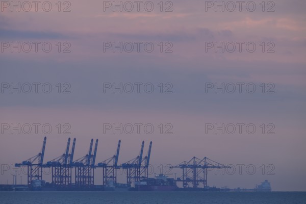 Cranes container bridges at Jade.Weser Port against a purple evening sky, calming atmosphere, Eckwarderhörne, Butjadingen, Lower Saxony, Germany