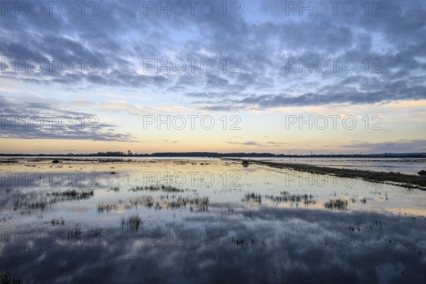 Wide water landscape with cloudy sky at sunset Moist meadows in Ochsenmoor during high tide, Dümmer nature park Park, Lower Saxony, Germany