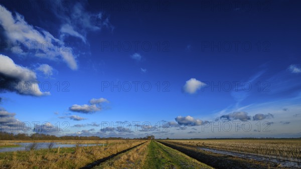 Clear wide field under a blue sky with scattered clouds and a path, Mariendrebber, Drebber, Lower Saxony, Germany