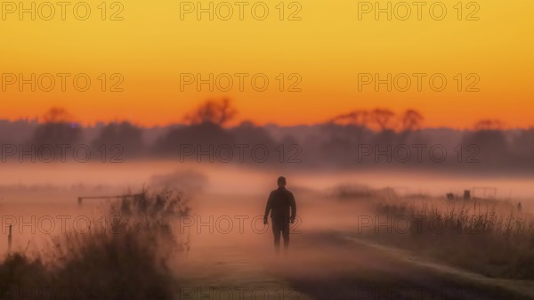 A lonely person walks at sunset through the misty lowmoor landscape, Dümmer nature park Park, Lower Saxony, Germany