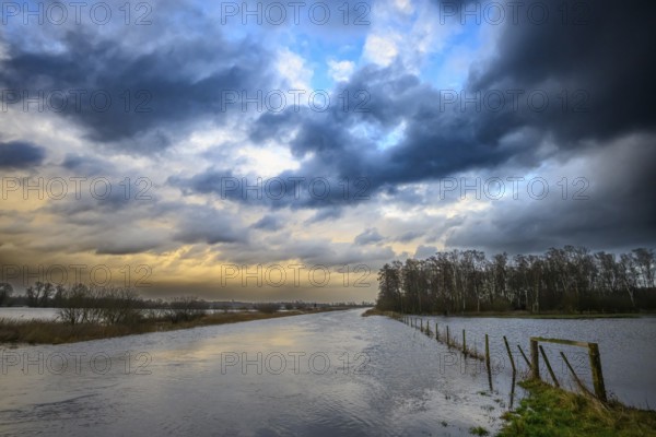 Edge channel of Lake Dümmer Wiesen in the western Dümmer lowlands during floods with dramatic wind peaks, Schwege, Bohmte, Lower Saxony, Germany
