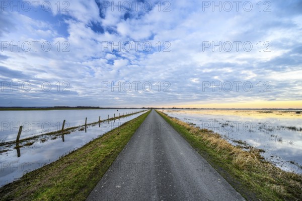 Straight road between mirrored water under a cloudy sky, a narrow path leads through a wide, water-rich landscape at dusk, Dümmer nature park Park, Lower Saxony, Germany