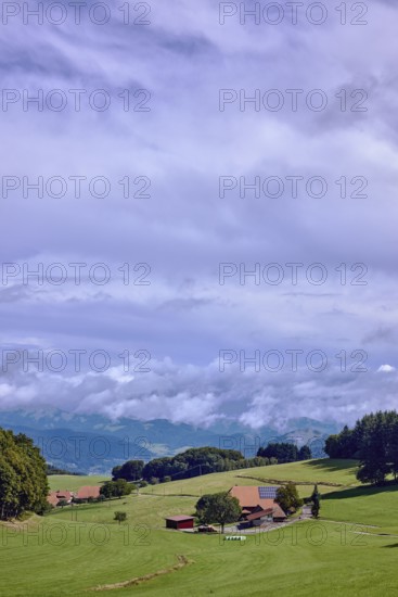 Landscape photography, hilly landscape, hills, coniferous forest, meadow, trees, homestead, haze, sunny, cloudy, cirrostratus clouds, cumulus clouds, Breitebene, Hofstetten, Black Forest, Ortenaukreis, Baden-Württemberg, Germany