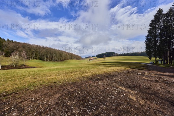 Hilly landscape, hills, coniferous forest, meadow, trees, cloud shadows, blue sky, cumulus clouds, stratocumulus clouds, broad plain, Hofstetten, Black Forest, Ortenaukreis, Baden-Württemberg, Germany