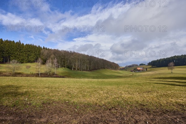 Landscape photography, hilly landscape, hills, meadow, coniferous forest, trees, cloud shadows, homestead, blue sky, cumulus clouds, stratocumulus clouds, Breitebene, Hofstetten, Black Forest, Ortenaukreis, Baden-Württemberg, Germany