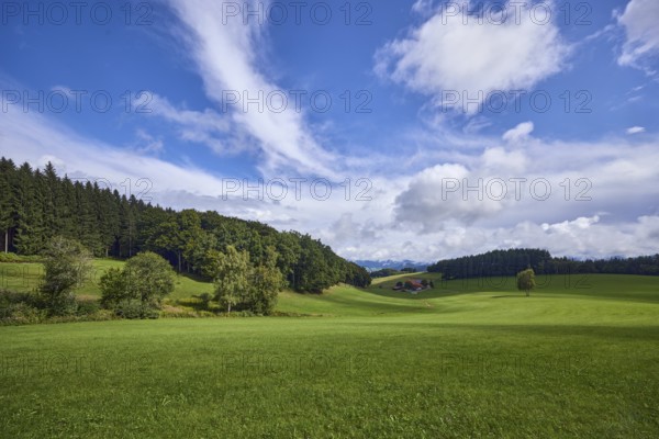 Landscape, landscape photography, hills, coniferous forest, meadow, blue sky, cumulus clouds, cirrus clouds, stratocumulus clouds, broad plain, Hofstetten, Black Forest, Ortenaukreis, Baden-Württemberg, Germany