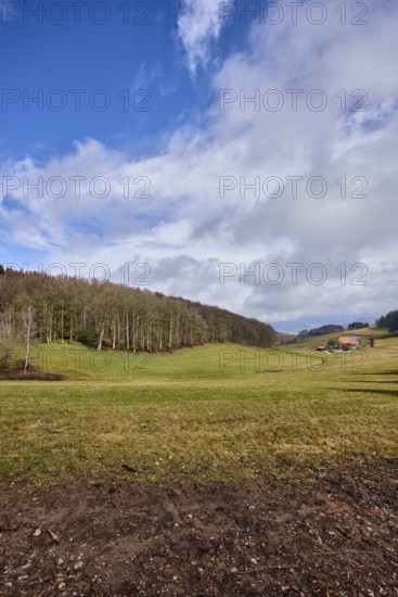 Landscape photography, hilly landscape, hills, meadow, coniferous forest, trees, cloud shadows, homestead, blue sky, cumulus clouds, stratocumulus clouds, Breitebene, Hofstetten, Black Forest, Ortenaukreis, Baden-Württemberg, Germany