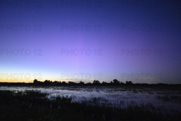 Tranquil landscape at dusk with blue-purple sky over pond meadows on Ochsenmoor, silhouettes of trees in the background, Dümmerniederung nature park Park, Lower Saxony, Germany