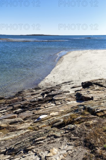 Shoreline with sandy beach, Cedar Beach, Harpswell, Cumberland County, Casco Bay, Atlantic Ocean, Maine, New England, USA