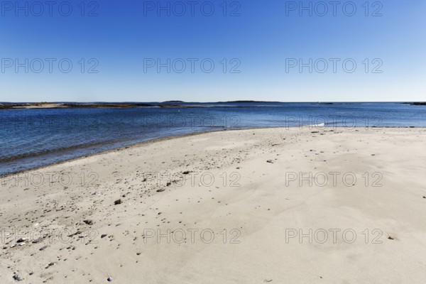 Shoreline with sandy beach, Cedar Beach, Harpswell, Cumberland County, Casco Bay, Atlantic Ocean, Maine, New England, USA