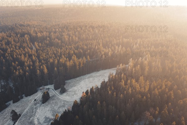 Forest panorama in warm sunset light with mountains in the background, Enzklösterle, Calw district, Germany