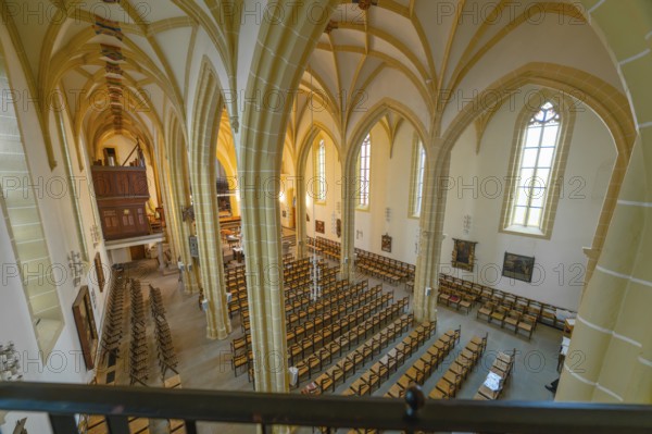 View from the gallery over the church interior with Gothic arched windows and detailed columns, collegiate church, Herrenberg, Böblingen district, Germany