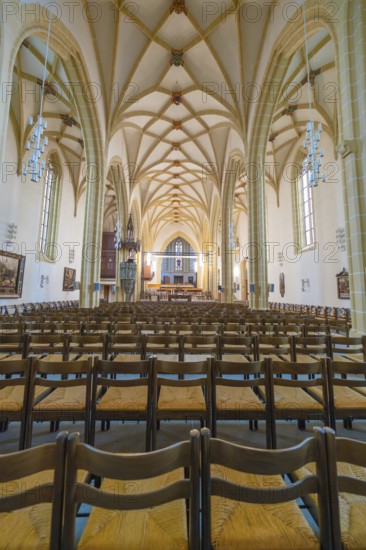Symmetrical view along the rows of benches in the nave with Gothic columns and high ceilings, collegiate church, Herrenberg, Böblingen district, Germany