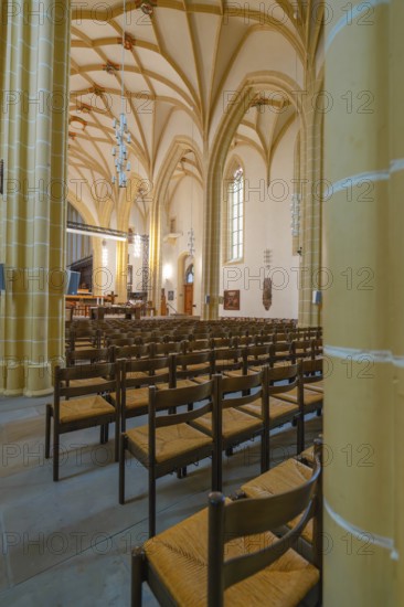 Side view of a large nave with Gothic columns and rows of pews, collegiate church, Herrenberg, Böblingen district, Germany