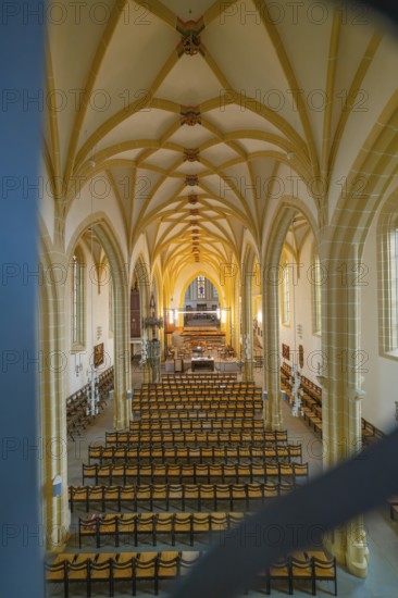 View of a church interior with altar and arranged seats, Gothic architecture, collegiate church, Herrenberg, Böblingen district, Germany