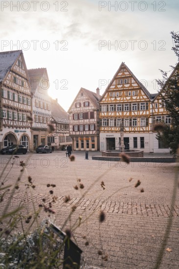 Historic half-timbered houses in a sunny old town atmosphere, with a relaxed and cozy atmosphere, Herrenberg, Böblingen district, Germany