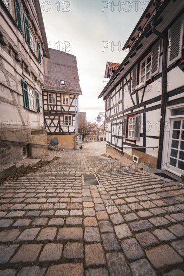 Narrow paved alley lined with charming half-timbered houses under overcast sky, Herrenberg, Böblingen district, Germany