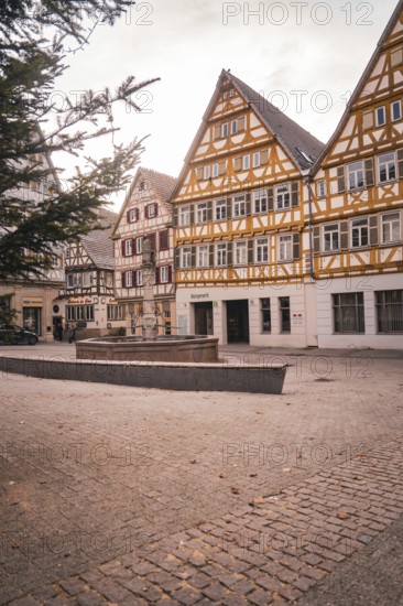Charming half-timbered houses surround a quiet square, relaxed atmosphere, Herrenberg, Böblingen district, Germany