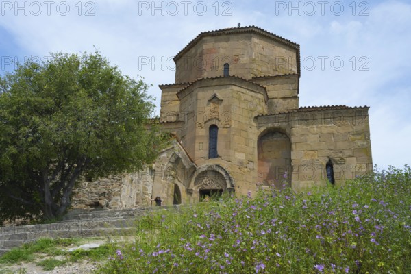 Stone church with decorated details surrounded by flowering plants and a large tree under a blue sky, Javari Monastery, Jvari Monastery, Dzhwari Church, Cross Monastery, UNESCO World Heritage Site, Mtskheta, Mtskheta, Mtskheta, Mtskheta, Mtskheta-Mtianeti Region, Georgia