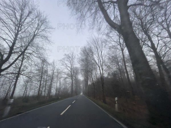 Driver's perspective view of foggy, foggy country road with trees next to the road in thick fog in winter, Germany