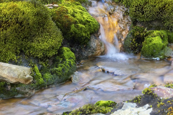 Stream, Moss, Longyearbyen, Spitsbergen, Svalbard