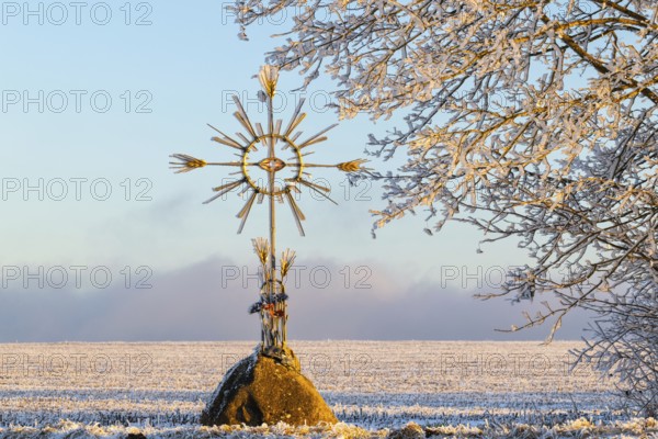 Field cross with corn, frost, hoarfrost, winter, Leibertingen, Upper Danube nature park Park, Baden-Württemberg, Germany