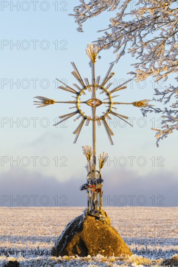 Field cross with corn, frost, hoarfrost, winter, Leibertingen, Upper Danube nature park Park, Baden-Württemberg, Germany
