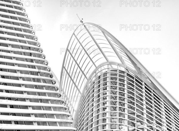 Black and white photography, Zayed National Museum in Abu Dhabi, memorial to the late Zayed bin Sultan Al Nahyan, the museum is the heart of the cultural district on Saadiyat Island, architecture on the roof of the museum, Abu Dhabi, United Arab Emirates