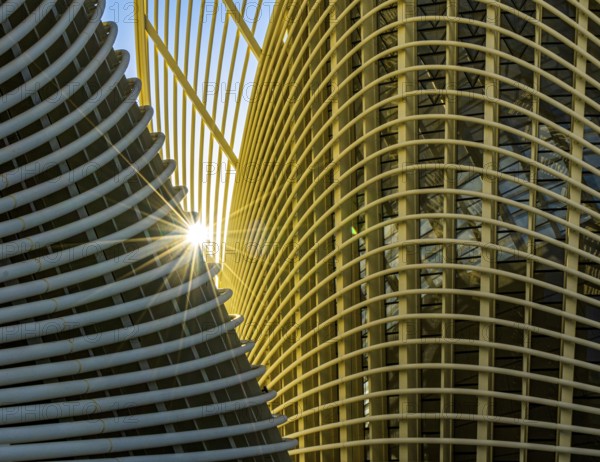 Zayed National Museum in Abu Dhabi, memorial to the late Zayed bin Sultan Al Nahyan, the museum is the heart of the cultural district on Saadiyat Island, architecture on the roof of the museum, Abu Dhabi, United Arab Emirates