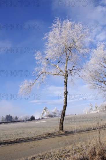 Winter landscape, frost, ski jump, Winterberg, North Rhine-Westphalia, Germany, The branches of a tree are covered with frost. The St. Georg ski jump can be seen in the background