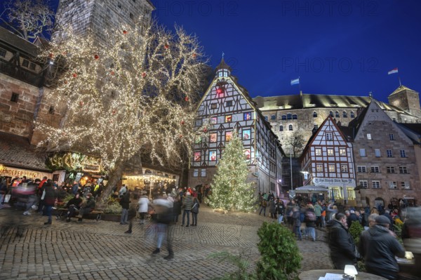 Illuminated trees with the historic Pilate House with advent calendar, in the evening lighting, the Kaiserburg in the back, Beim Tiergärtnertor, Nuremberg, Middle Franconia, Bavaria, Germany